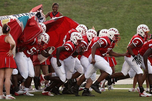 我们可以看 我们可以看